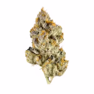 RS11 - THCa 32.820% : Terpenes 0.747% - Indica