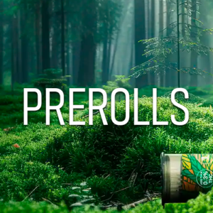 PREROLLS