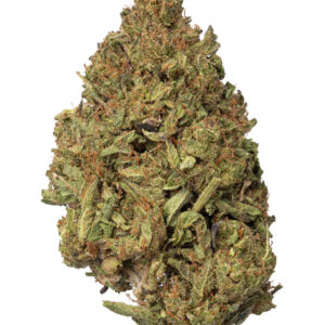 After Dark Living Soil - THCa 28.221% : Terpenes 1.380% - Indica