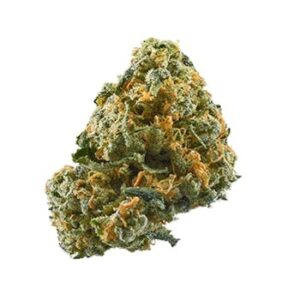 Durban Poison Living Soil Smalls - THCa 27.717% : Terpenes 3.220% - Sativa