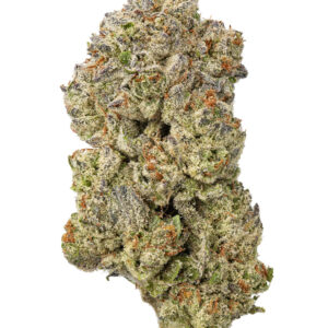Black Mamba Hydro - THCa 26.297% : Terpenes 1.770% - Indica