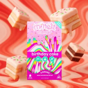 Mmelt Chocolate 2G - Birthday Cake