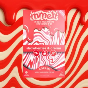 Mmelt Chocolate 2G - Strawberries & Cream