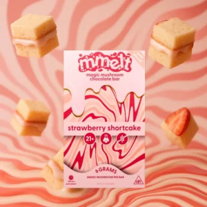 Mmelt Chocolate 2G - Strawberry shortcake